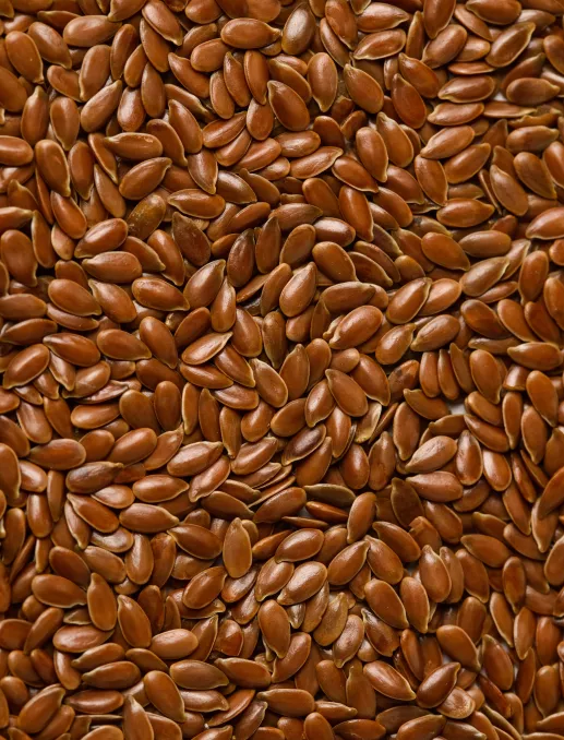 Linseed