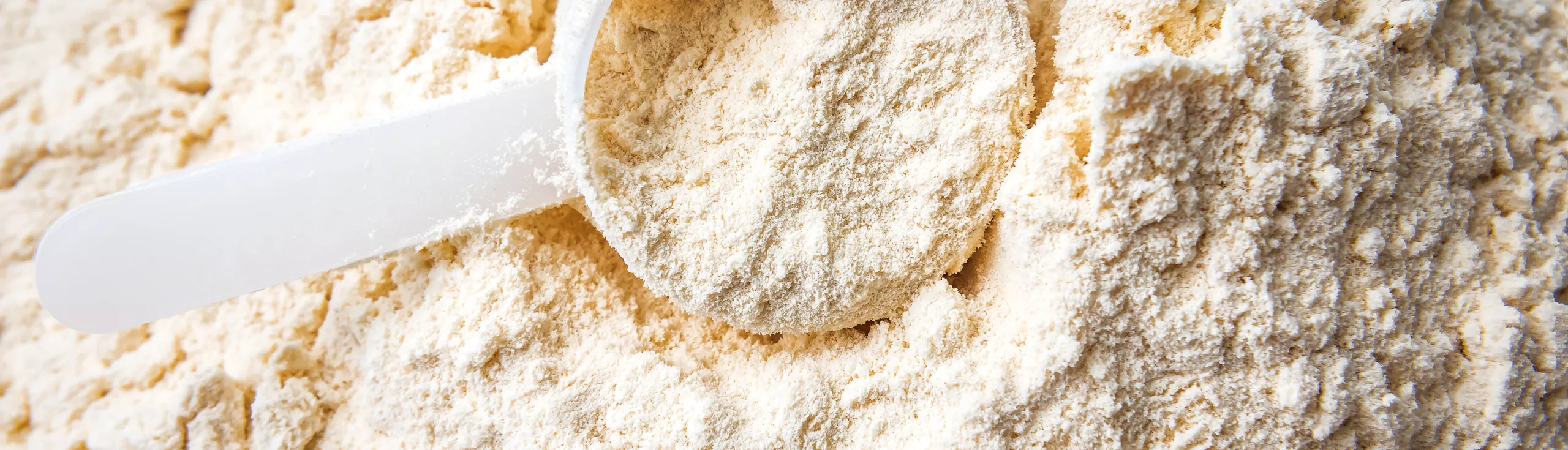 Protein