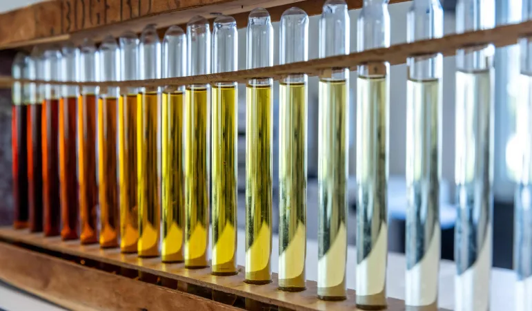 Desmet R&D and Innovation