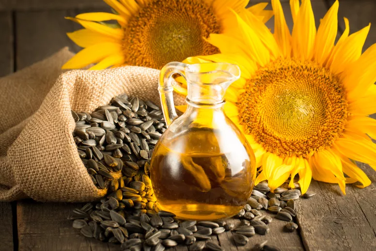 Sunflower_2